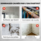 ⏳50% de réduction pour une durée limitée 🎁🔥Revêtement Polyuréthane Multi-Usage Imperméable