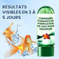 ⏳Réduction limitée de 50%💥🔥Comprimé Puissant de Purification de l'Eau pour Aquarium