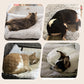 Coussin chauffant pour chats et chiens