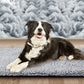 Coussin chauffant pour chats et chiens
